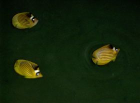 PICT0716.JPG